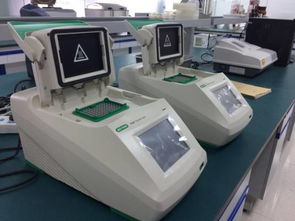 科富农畜禽疾病检测技术服务中心 技术检测赋能现代养殖业